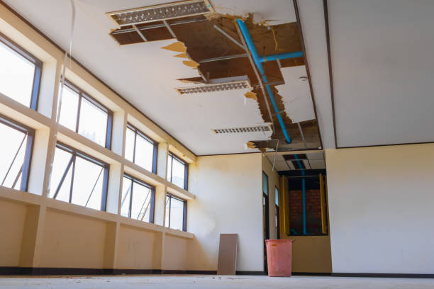 Best Commercial water damage restoration  in Olathe, KS