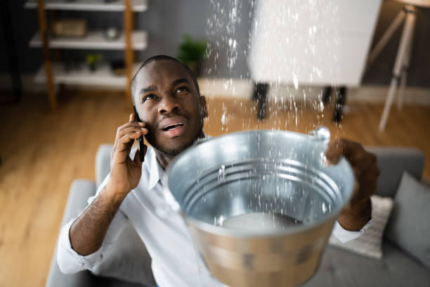 Best Flooded house restoration  in Olathe, KS