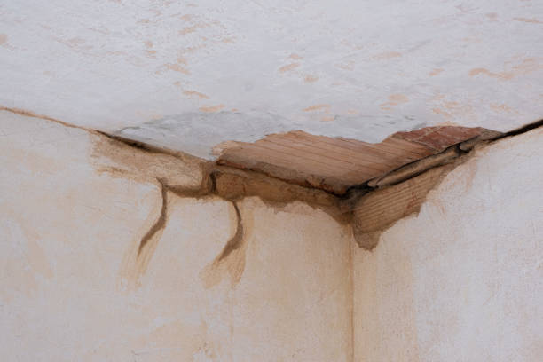 Best Flood damage cleanup  in Olathe, KS
