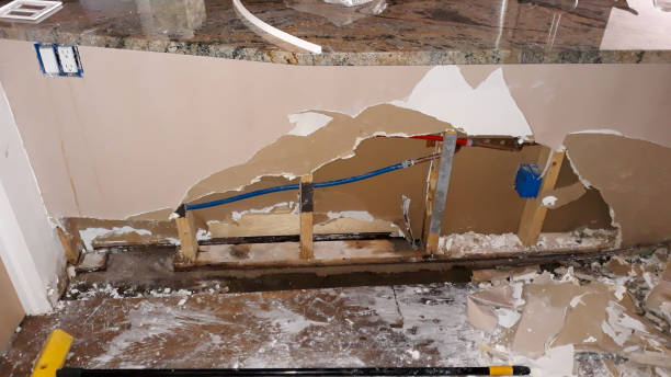 Best Water damage repair service  in Olathe, KS