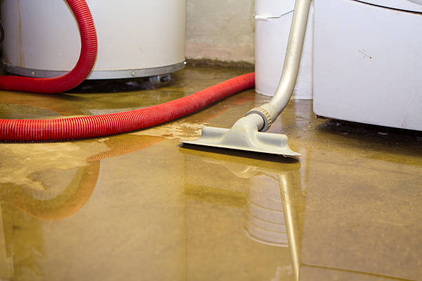 Best Emergency water extraction  in Olathe, KS