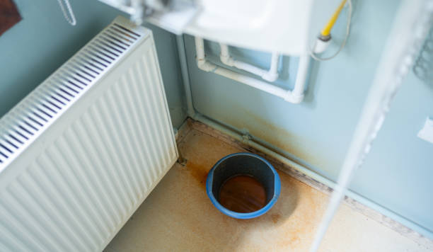 Best Flood restoration services  in Olathe, KS