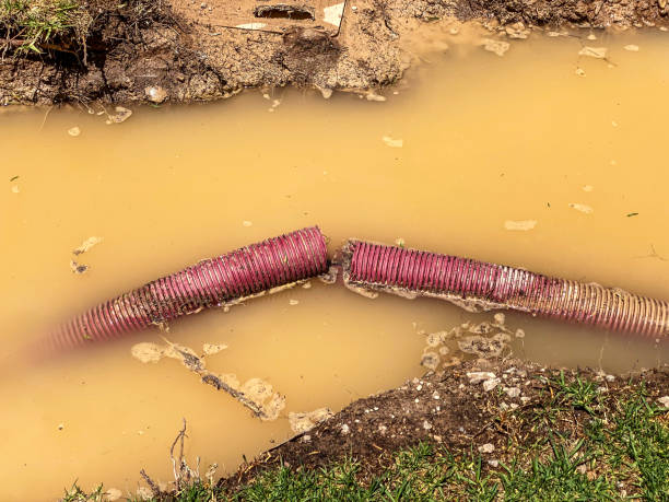 Water damage restoration process in Olathe, KS