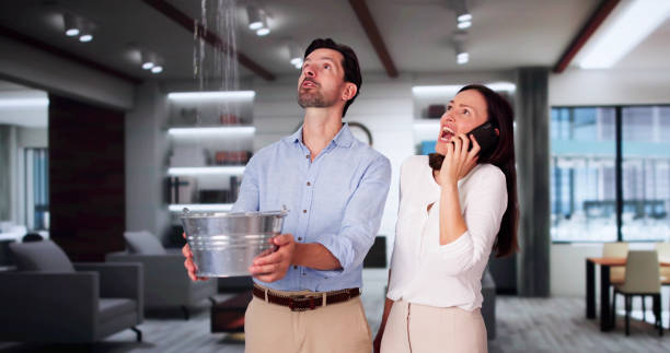 Best Basement water damage restoration  in Olathe, KS