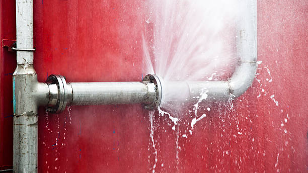 Best Water damage contractors near me  in Olathe, KS